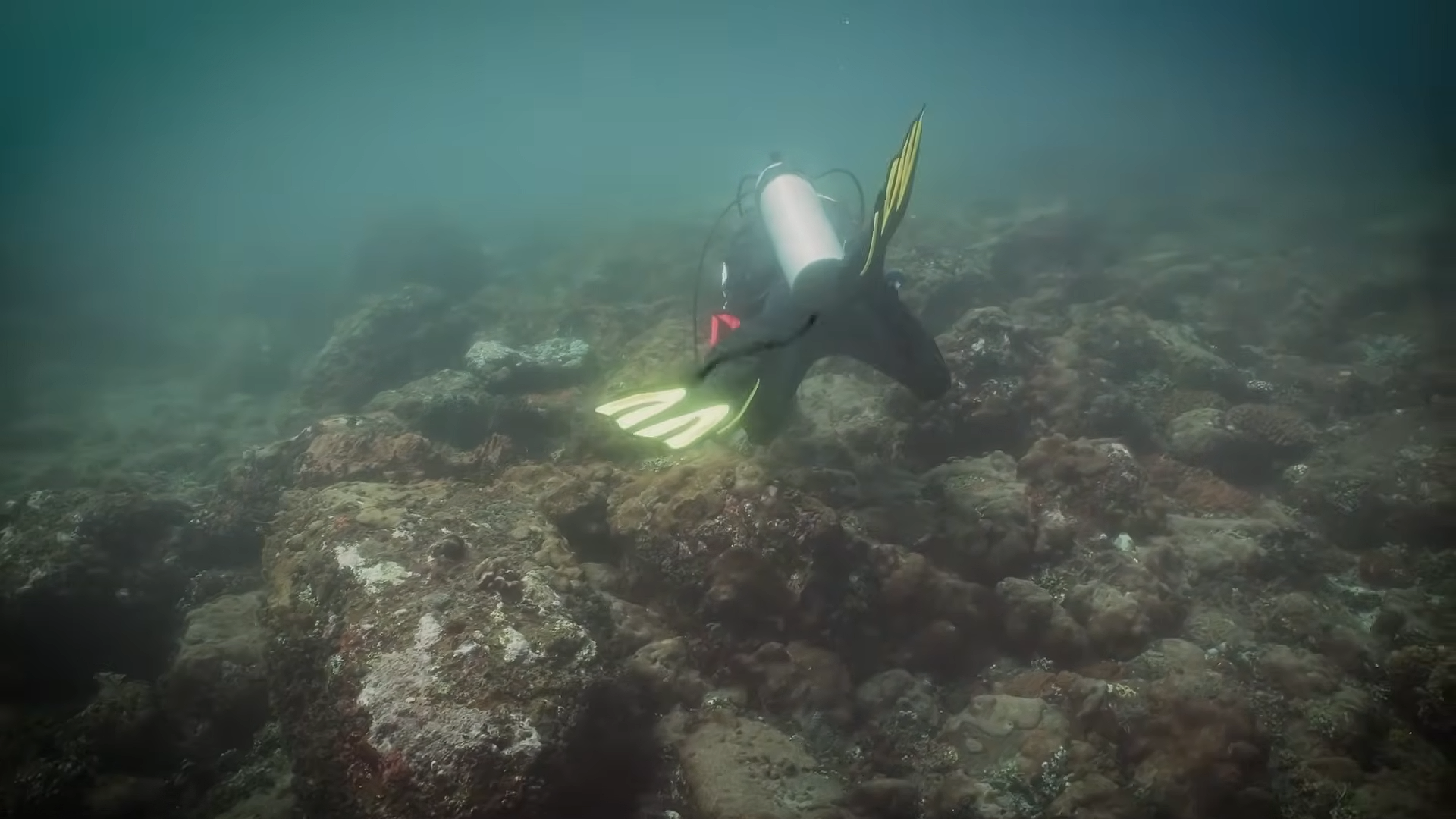 Two divers entered a flooded Soviet missile silo... only one came back ...