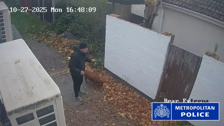 Afghan refugee who stabbed dog walker to death detained