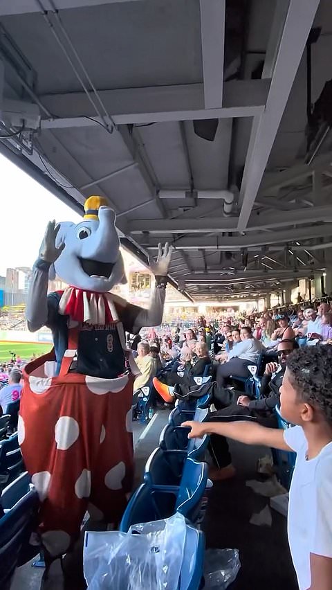 Mascot uses sign language with deaf child at baseball game