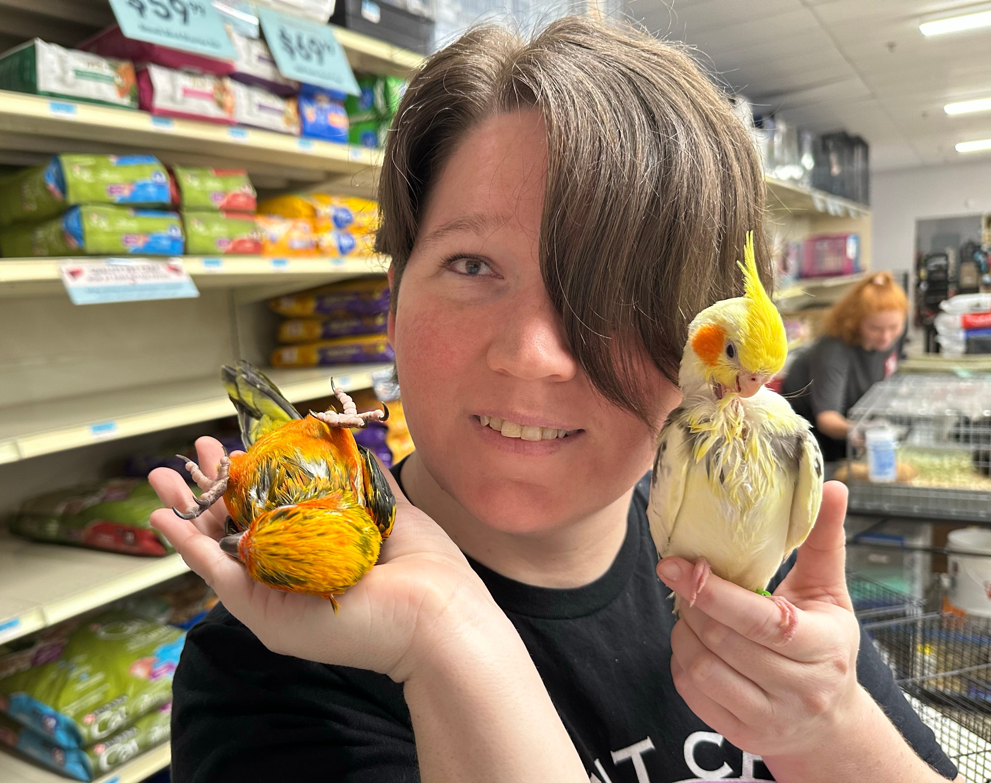 Petsense adoption event features cats, birds, rabbits and guinea pigs