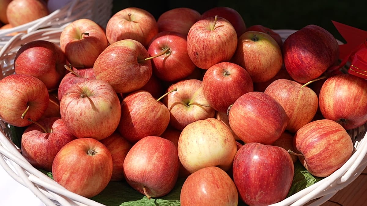 Is Kazakhstan the birthplace of apples? Here’s how the fruit spread ...