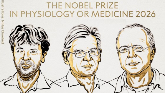 Nobel Prize in medicine honours research into mysteries of brain