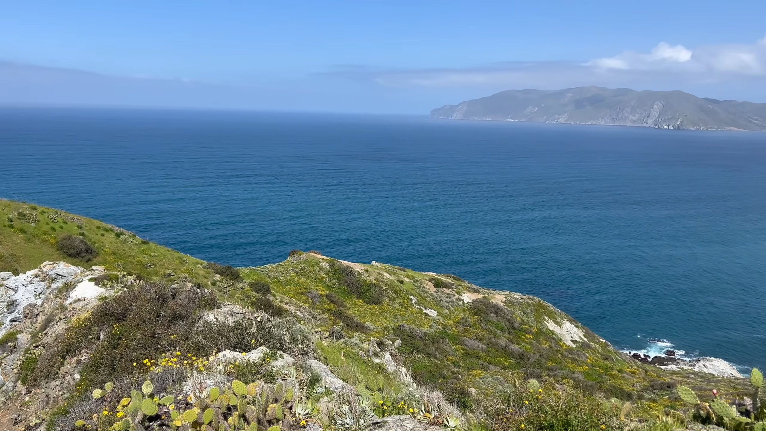 14 bison were brought to Catalina Island for a movie in 1924 - then ...