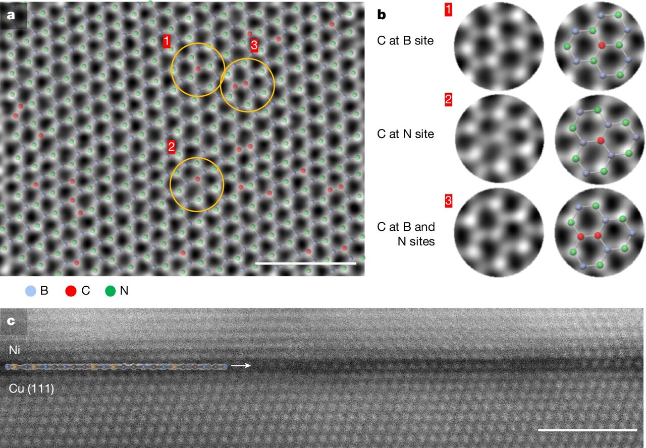Atom-thin material could overcome key transistor bottleneck for next ...