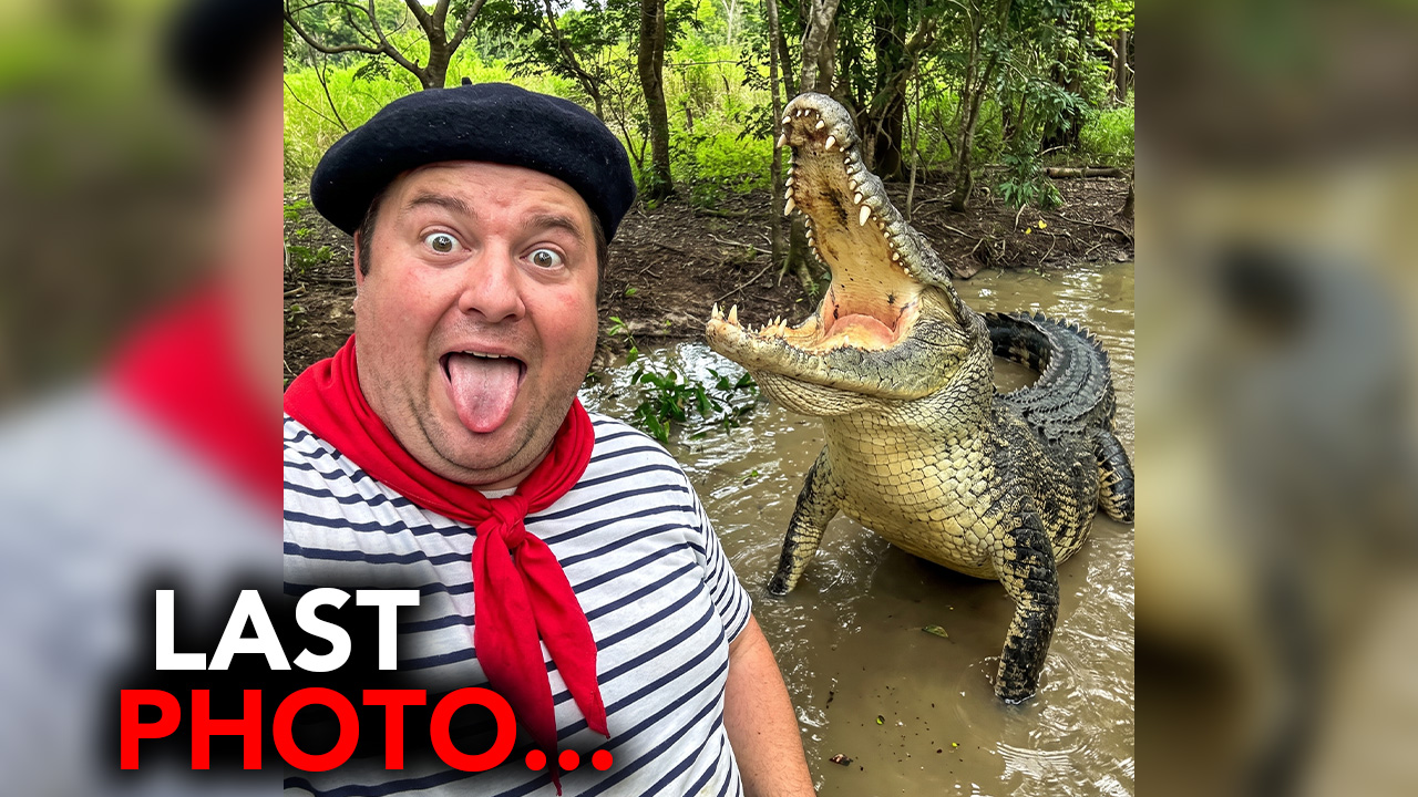 15 foolish tourists who forgot wild animals aren't pets!