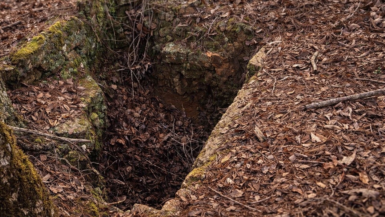 He found a grave that had been dug open - then the records confirmed ...