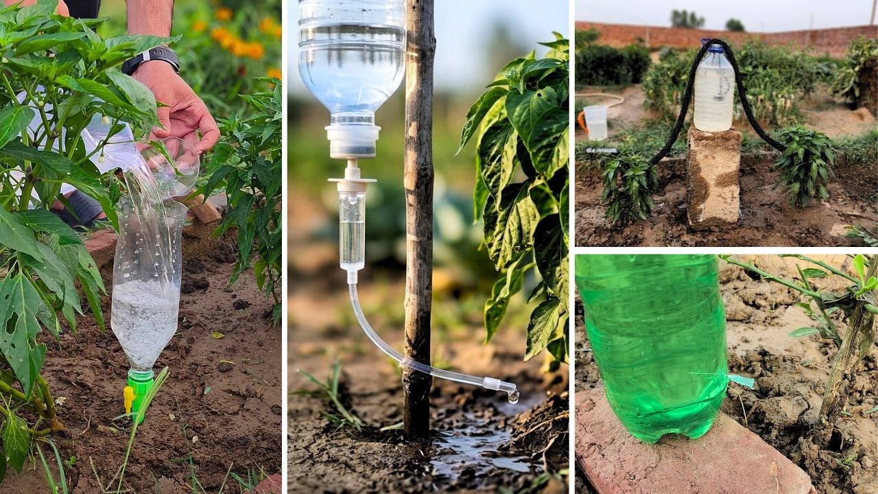 4 self watering systems every home gardener should know