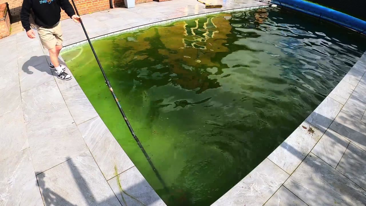 Plants were growing on this pool cover - underneath was a green pool ...