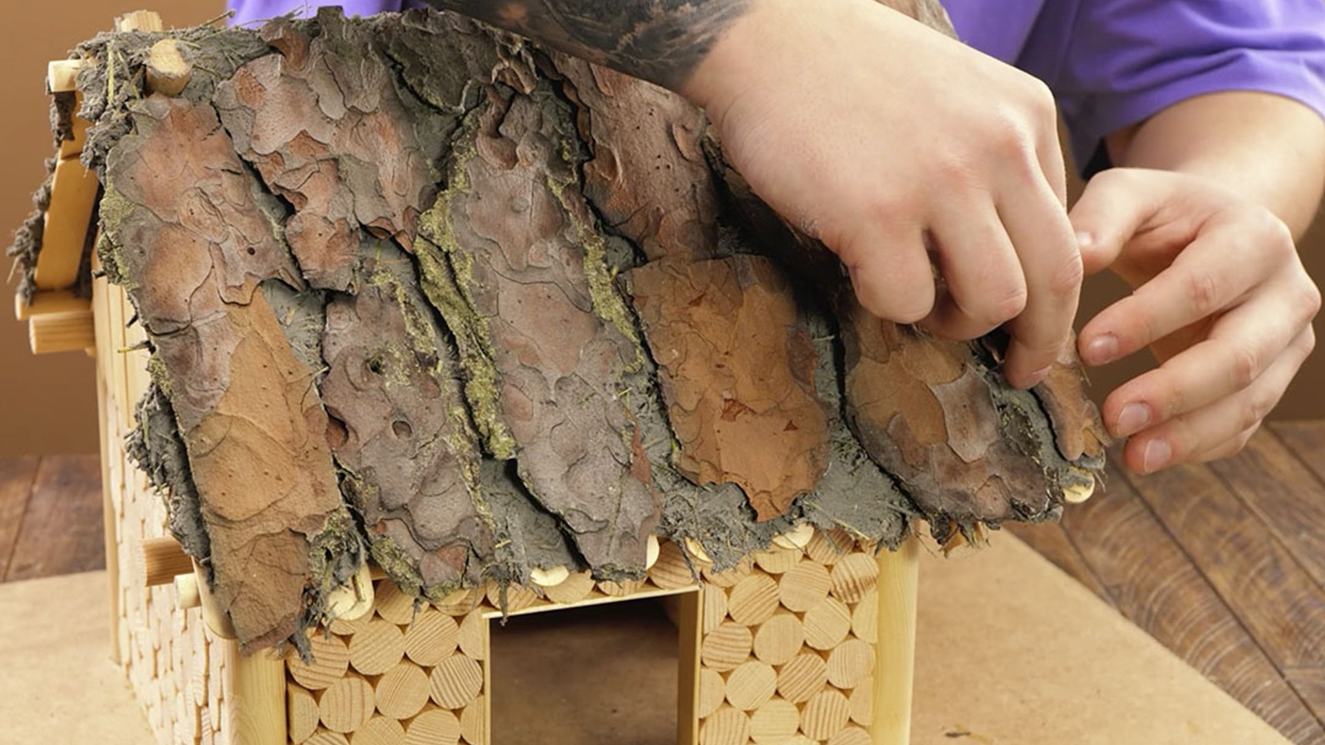 Sustainable mini wooden house: Eco-conscious building project