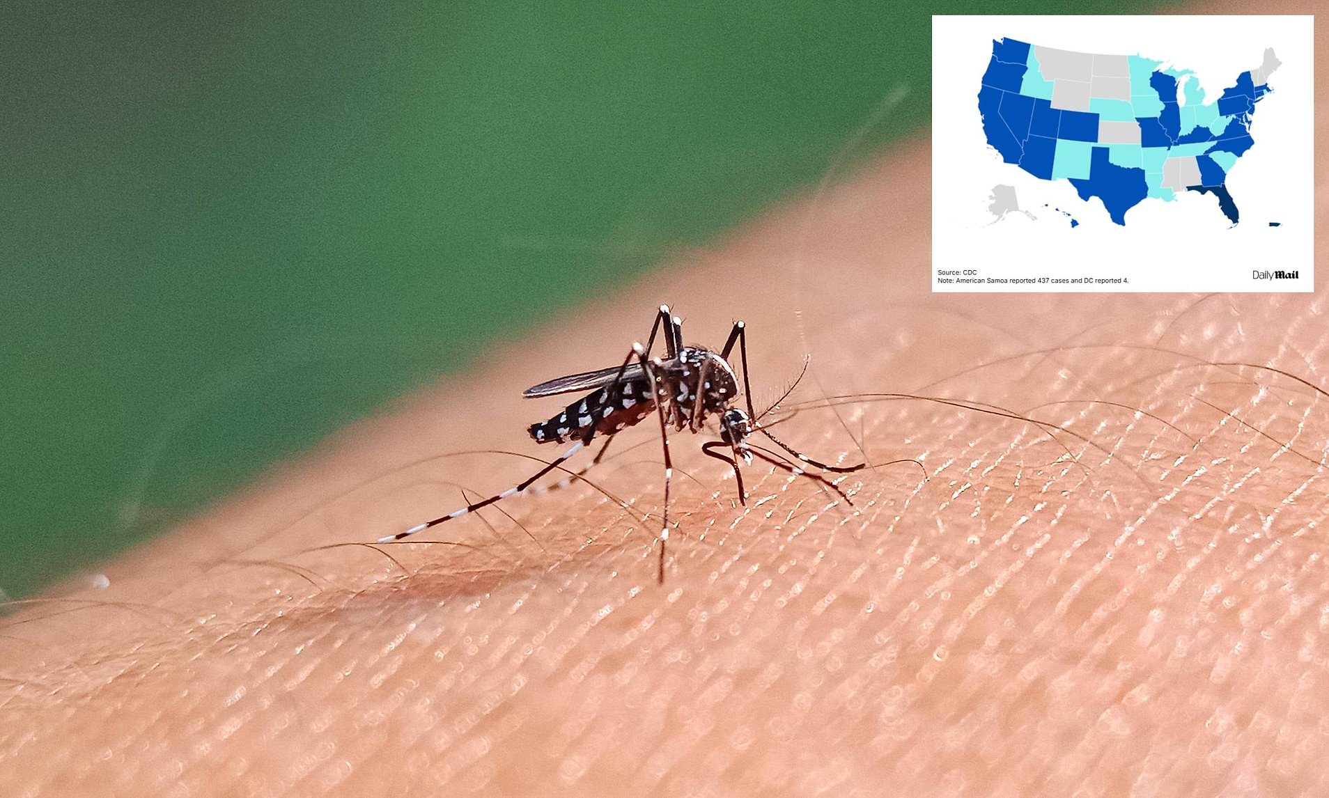 Map shows states where dengue fever cases are rising as CDC issues ...