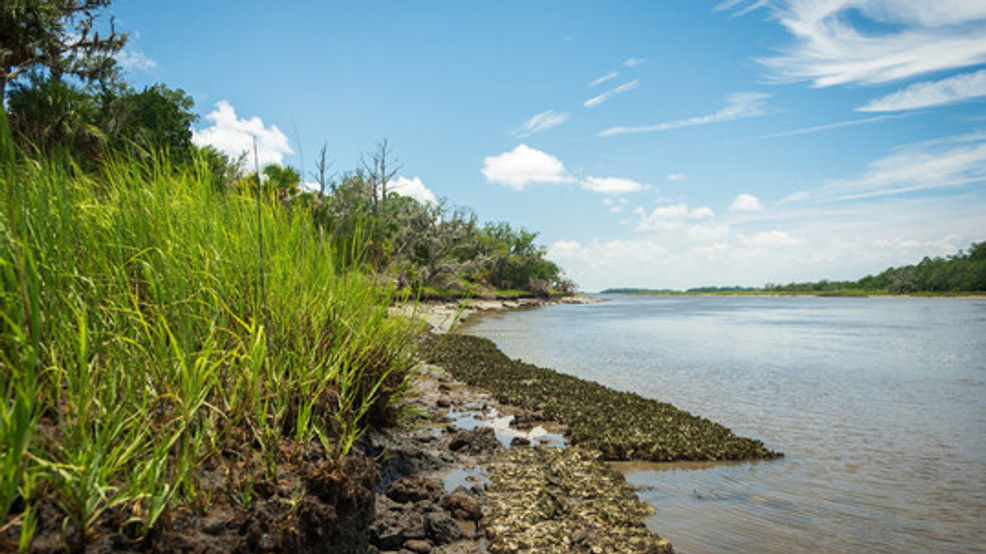 SCDES temporarily closes shellfish harvesting areas in Charleston ...