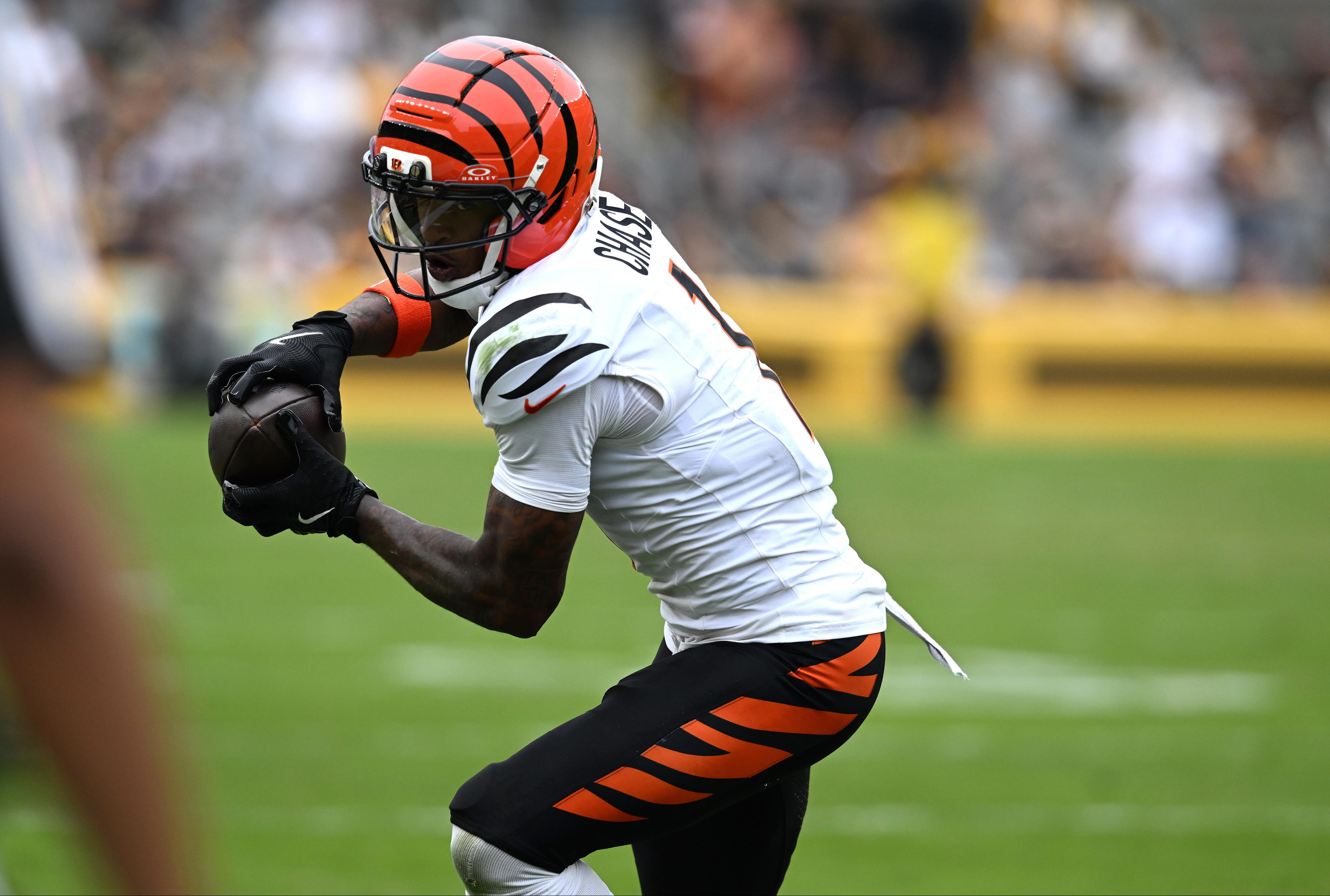 Ja'Marr Chase in concussion protocol