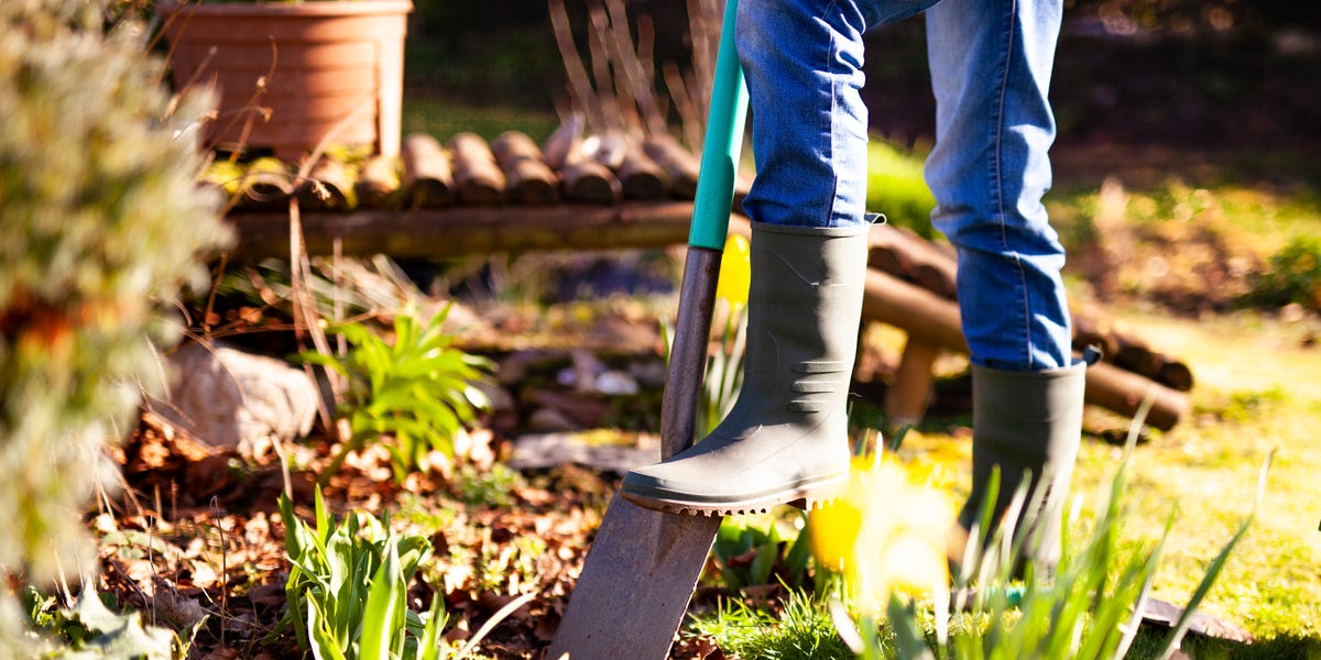 Experts say “garden banking” in the fall is the key to a more beautiful ...