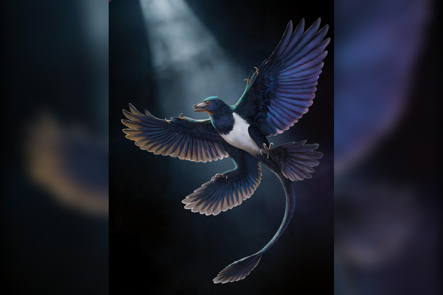 Remarkable fossil of a feathered, winged dinosaur further hints that ...
