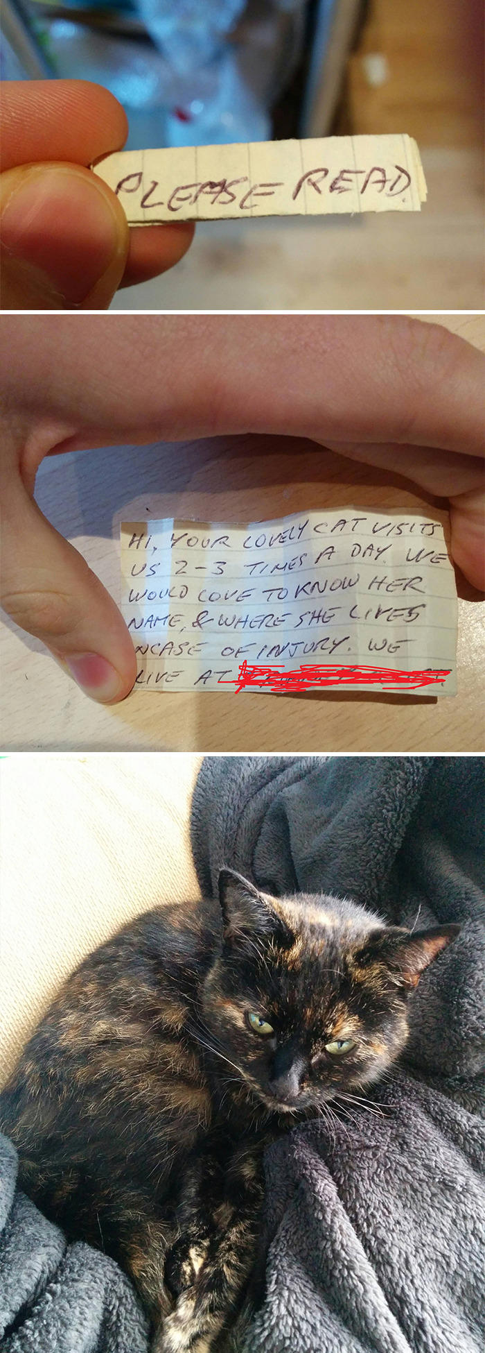 Wholesome pictures showing that there’s still something good in the world