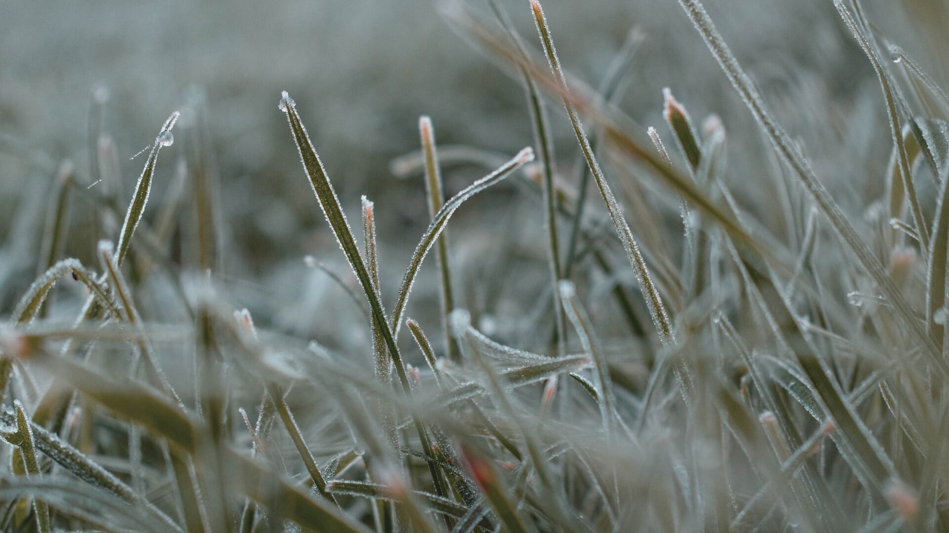 Frost possible throughout the area on Tuesday morning