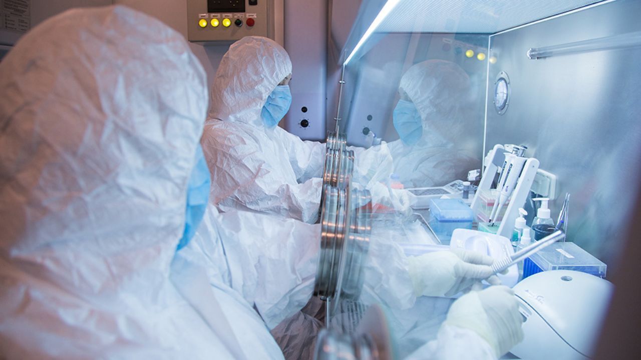 Plague fear grips Russia: Hospitals locked down, neighbouring countries ...