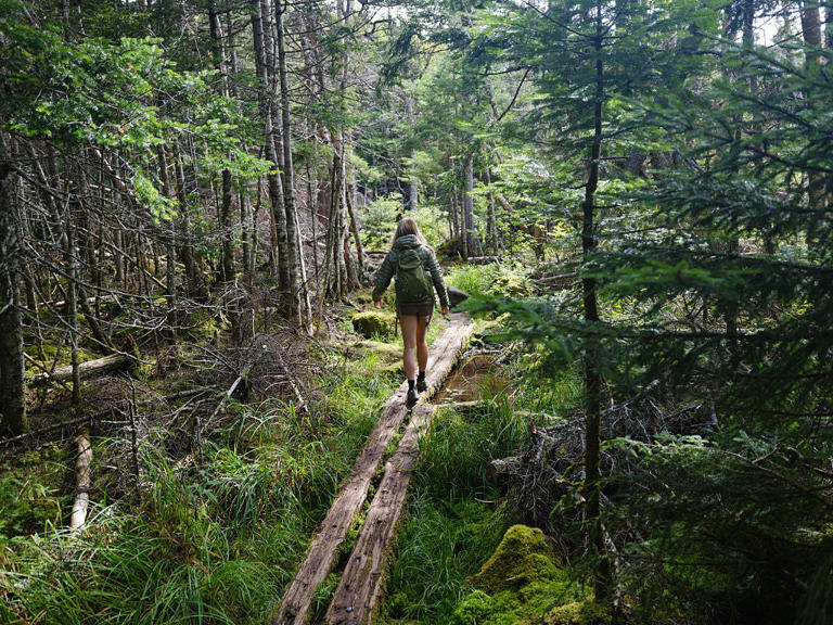 Hiker dies after being found unconscious on popular New Hampshire trail