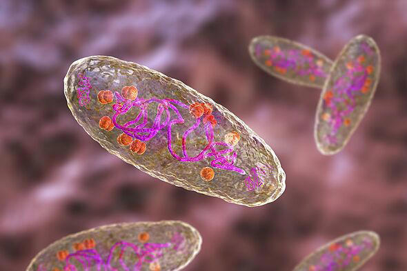 Horror warning issued after Russia plague lab leak - particularly serious