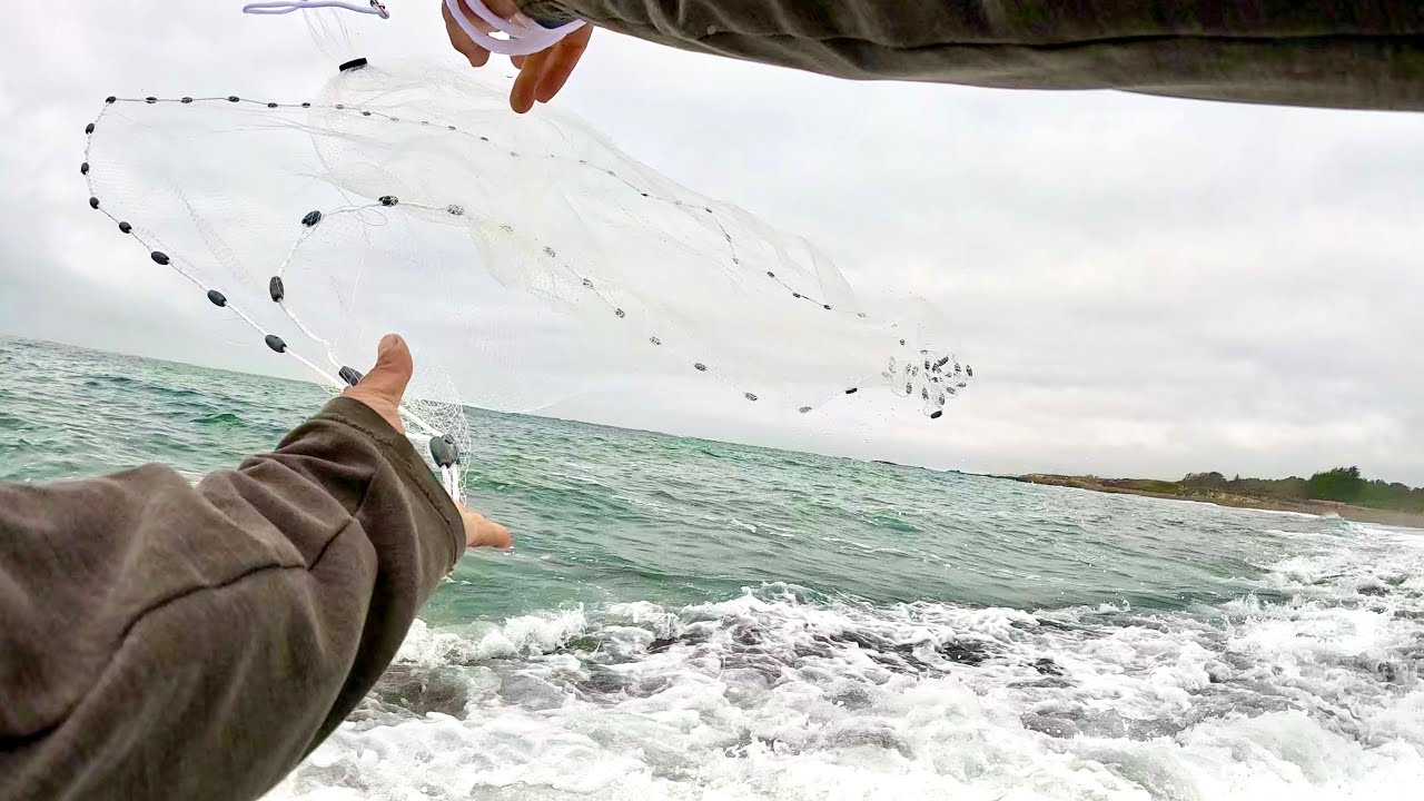 Nobody talks about these fish!