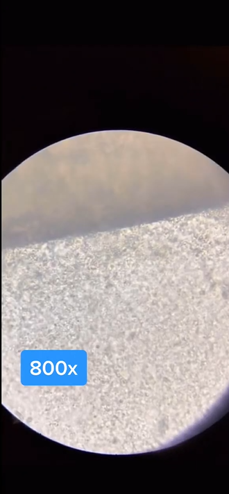 Toothbrush bristles under the microscope