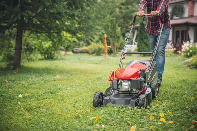 7 lawn maintenance tasks you should do right now to prepare for fall