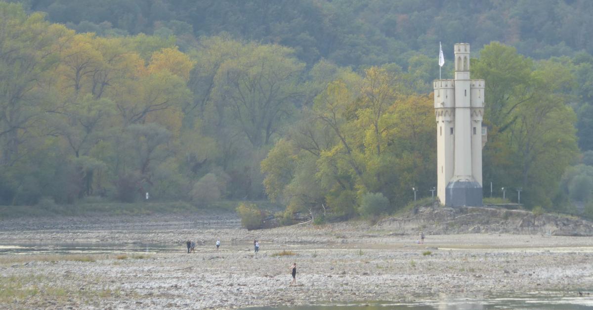 Rhein bei Bingen fällt wieder auf Niedrigwasserstand