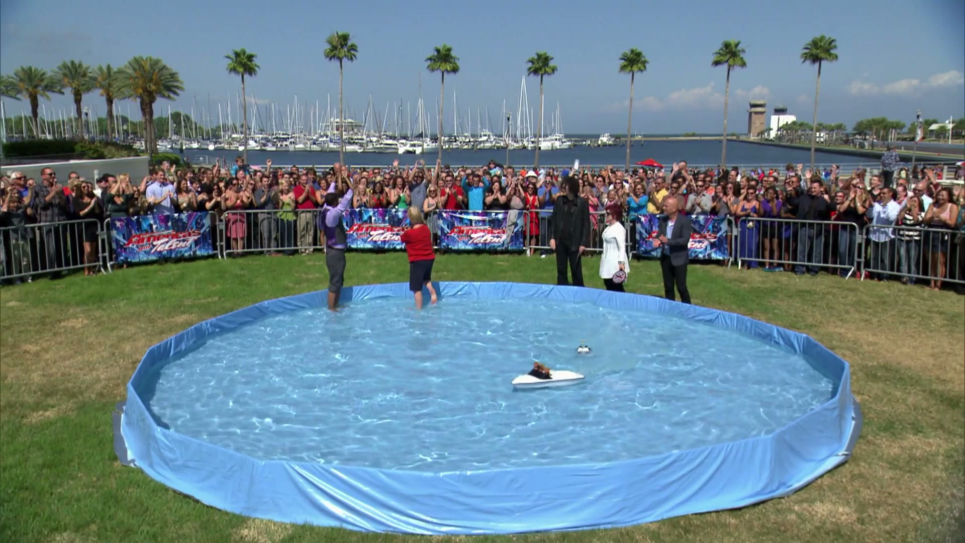 Twiggy the waterskiing squirrel - Animal act