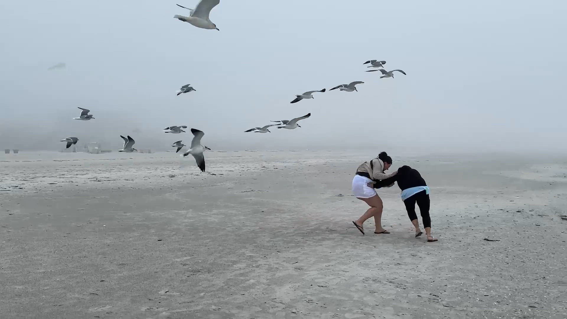 Crazy hilarious fails