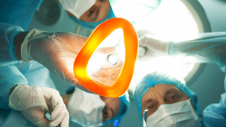 Your brain under anesthesia behaves surprisingly like a worm's ...
