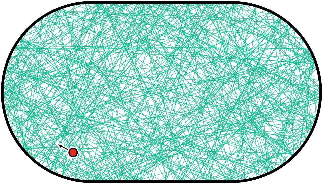 Quantum systems never quite forget where they came from