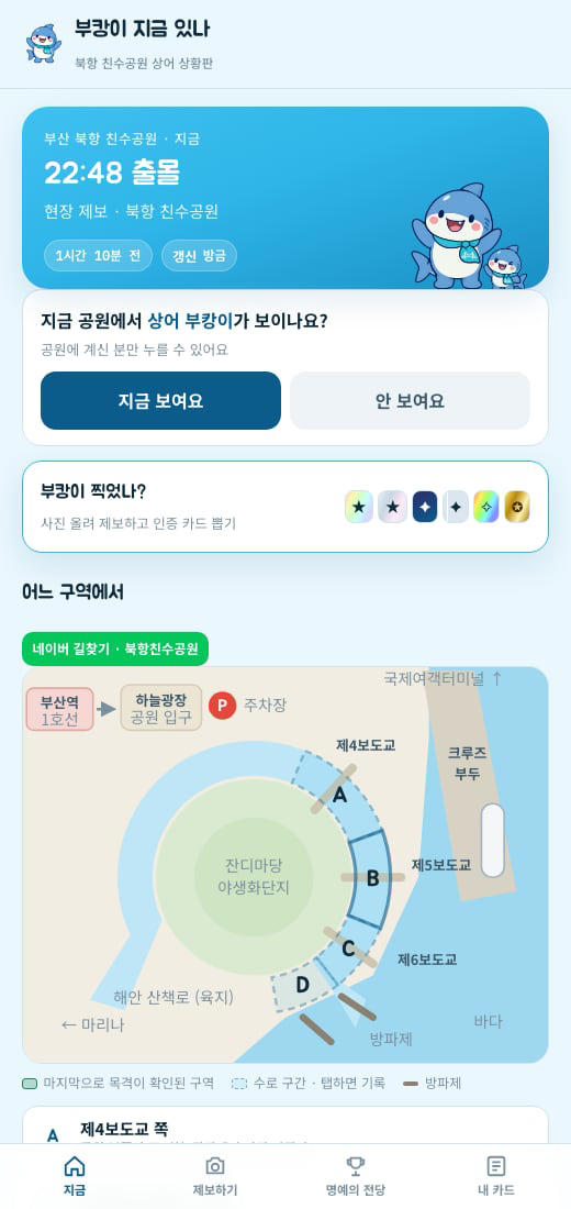 Student-developed shark sighting map draws 20,000 visitors
