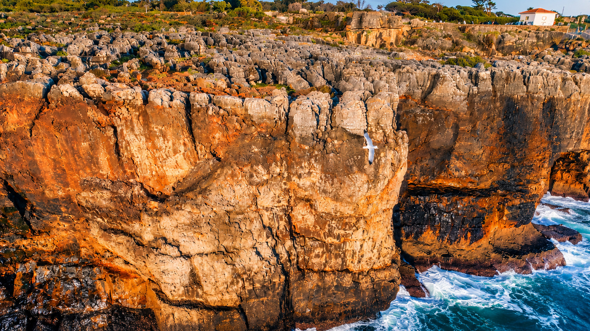 What shapes these jagged cliffs along Portugal’s coast?