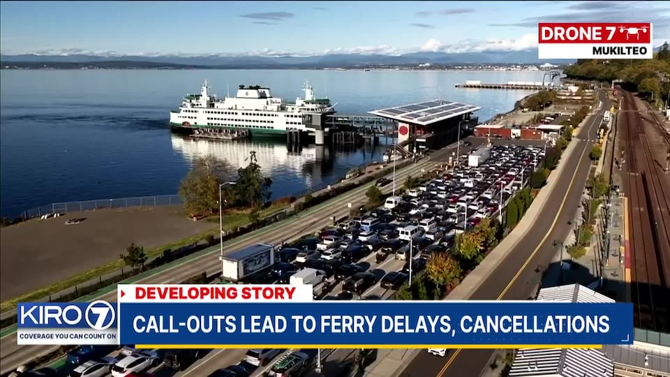 What we know about the apparent 'sick-out' by WA ferry engine room ...