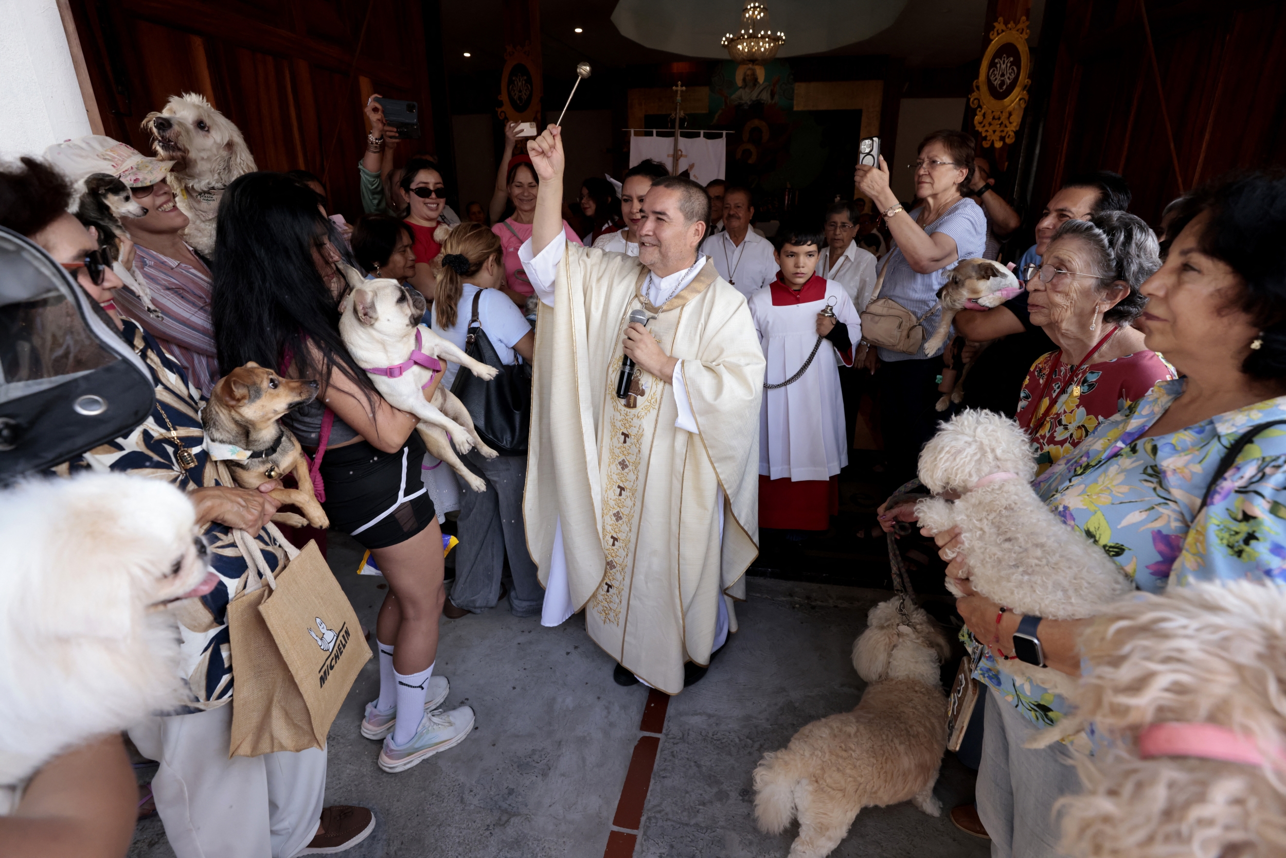 October 4 belongs to both God and dogs: Inside Mexico's most ...