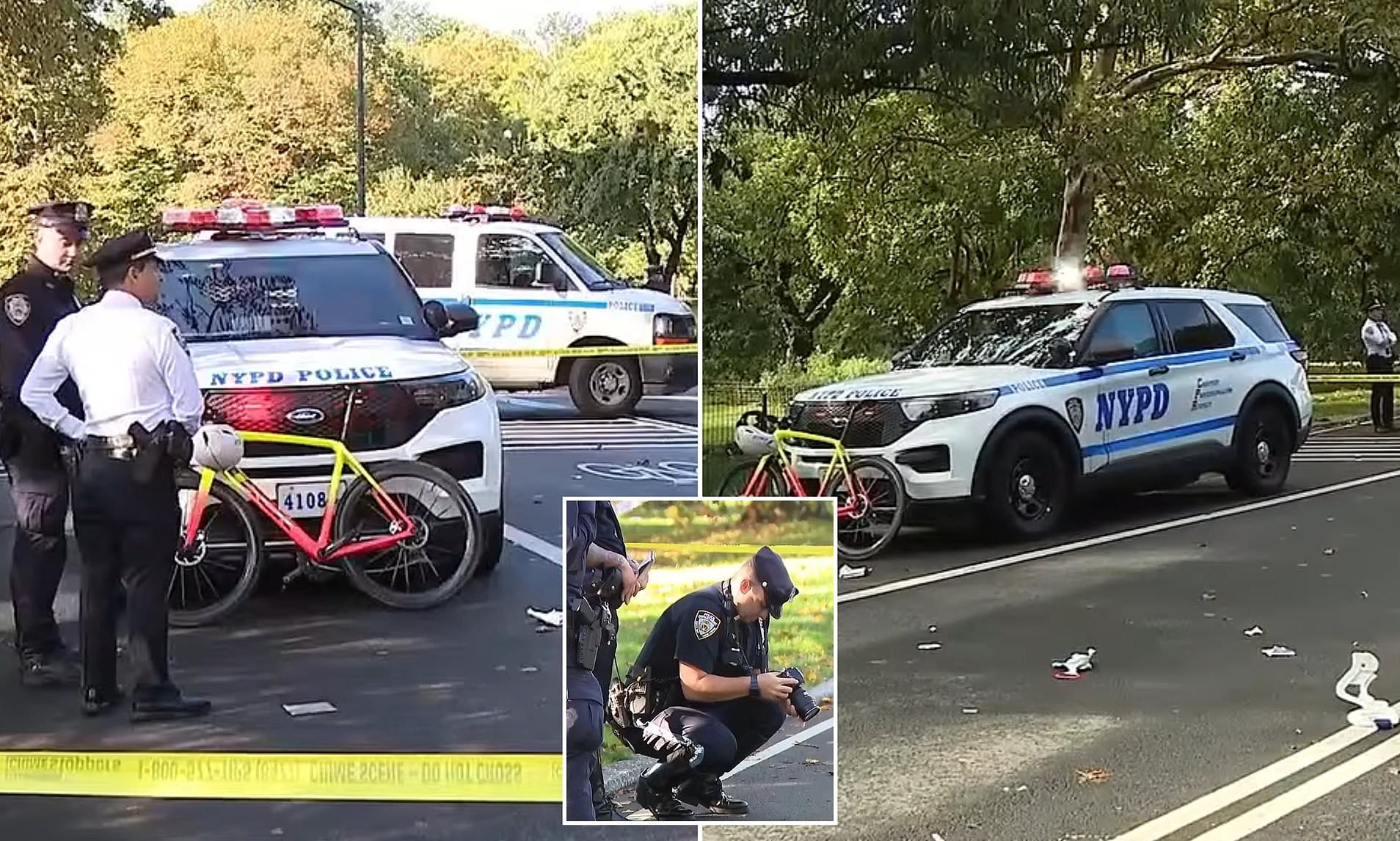 New York City cyclist is killed after colliding with a dog in Central Park