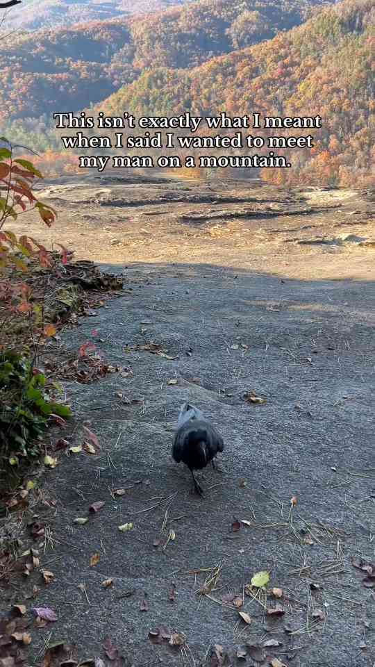 I met a mysterious man on the mountain