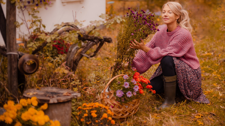 12 best flowers to start planting in pots in October