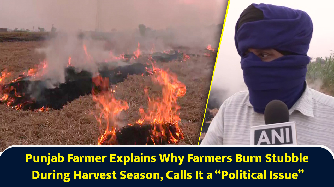 Punjab farmer explains stubble burning reasons during harvest season ...