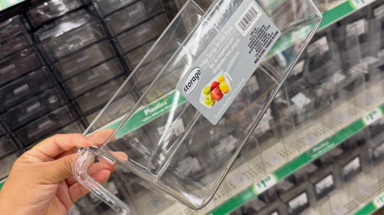 8 best new Dollar Tree storage finds under $2