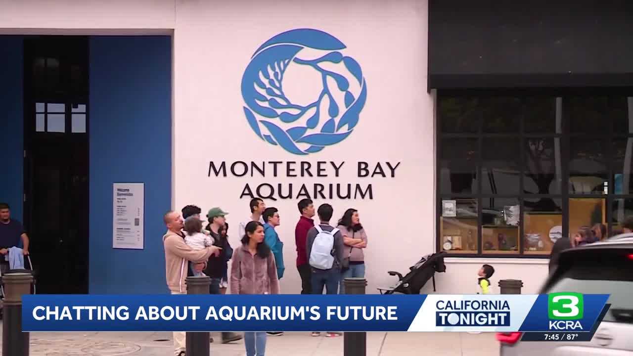 New CEO shares vision for iconic Monterey Bay Aquarium