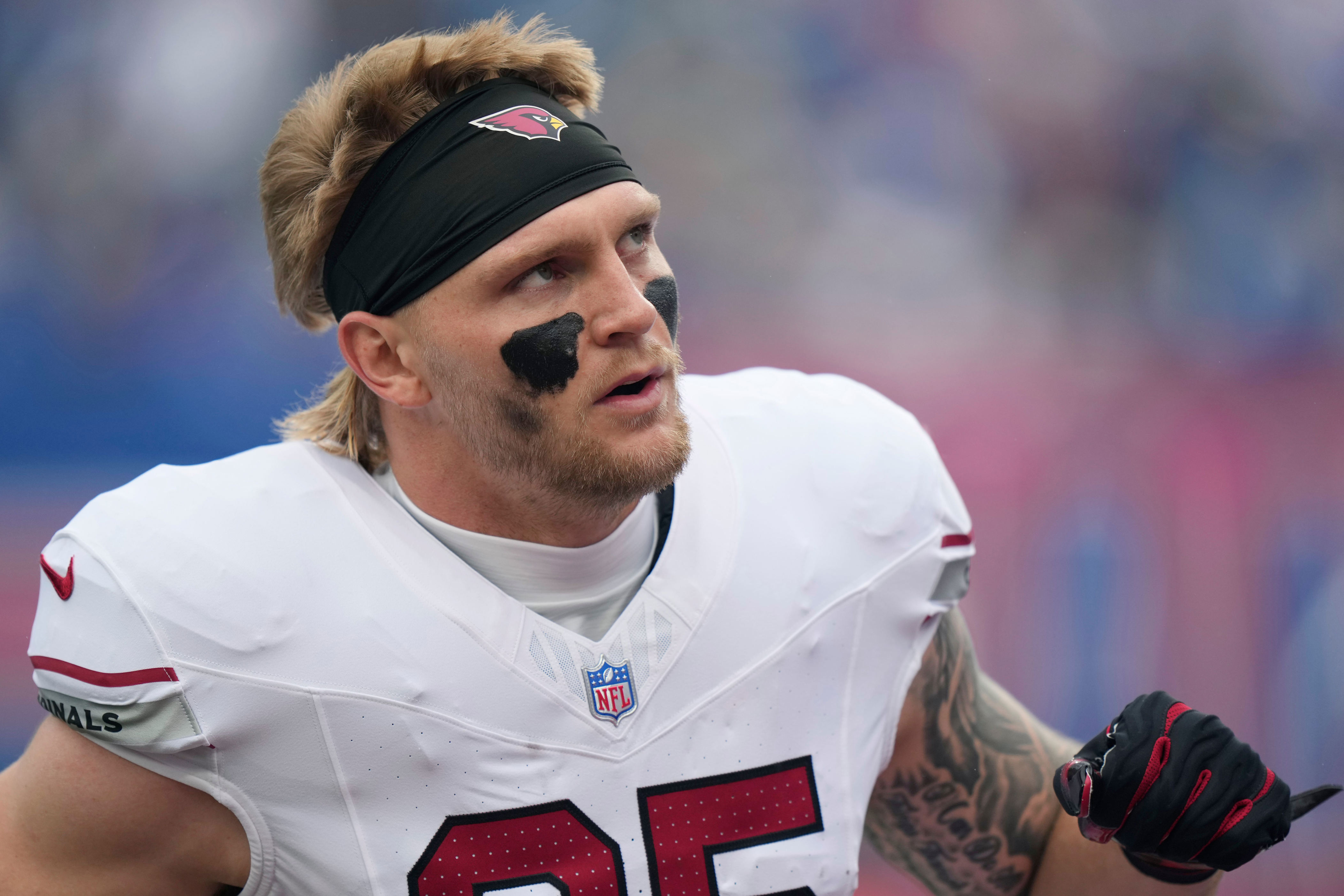 NFL probes referee's alleged profanity toward player