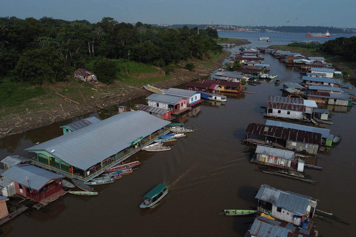 Indigenous voters in Brazil's Amazon fear missing runoff after court ...