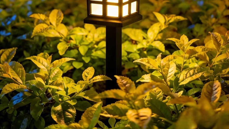 Walmart's 12-pack of waterproof solar lights is on sale for only $19
