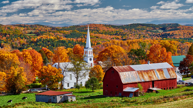 The best US state for fall colors in 2026 isn't Michigan or Maine
