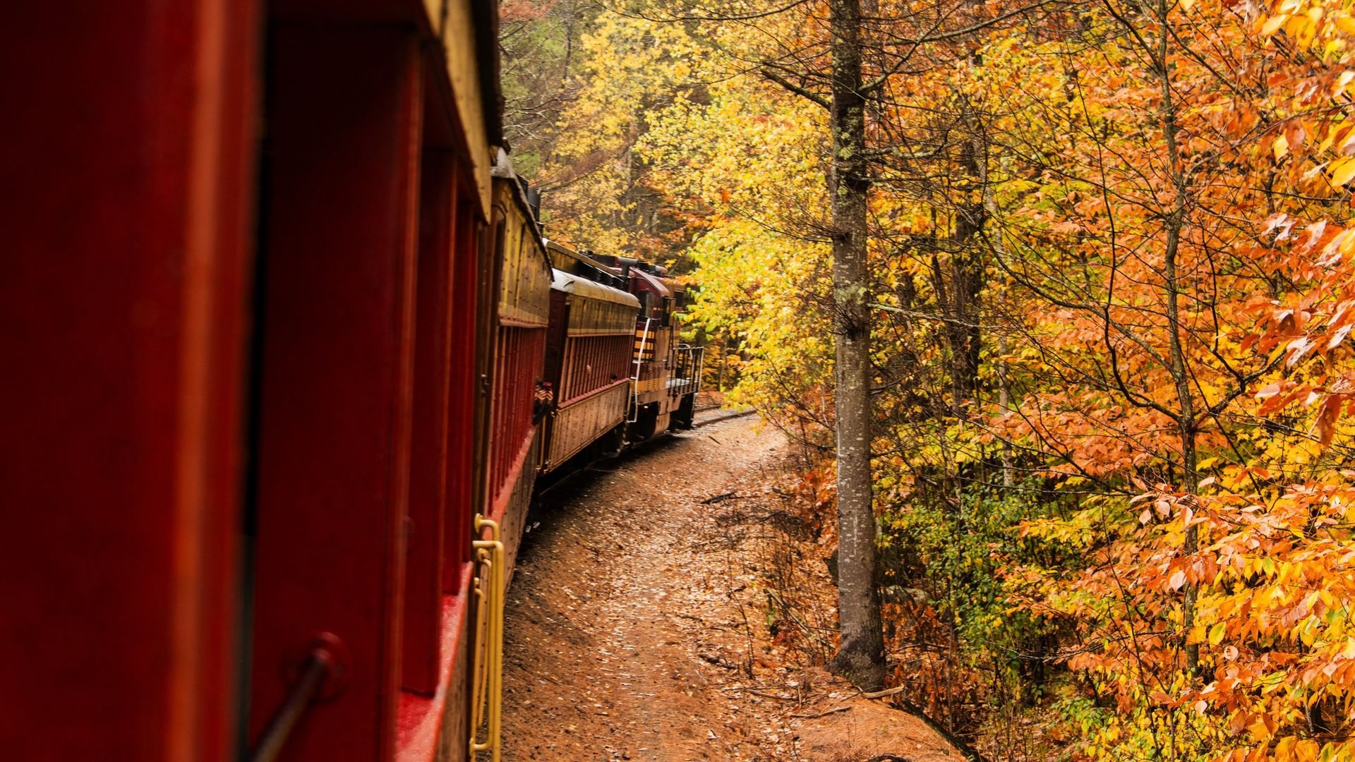8 gorgeous train trips to enjoy fall foliage