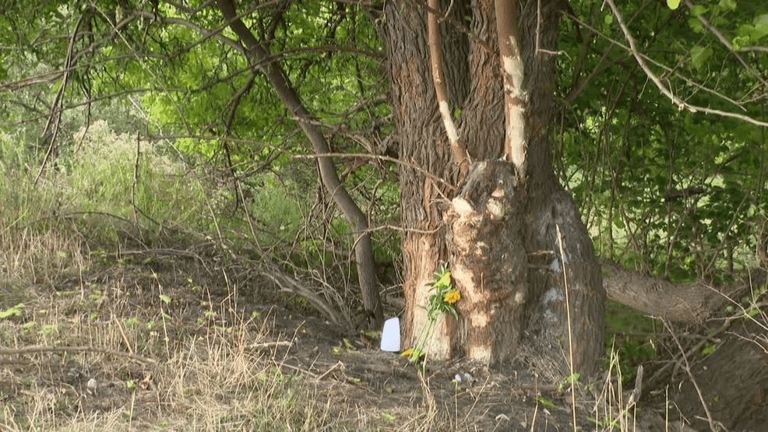 Funeral service planned for 17-year-old Jason Soloman