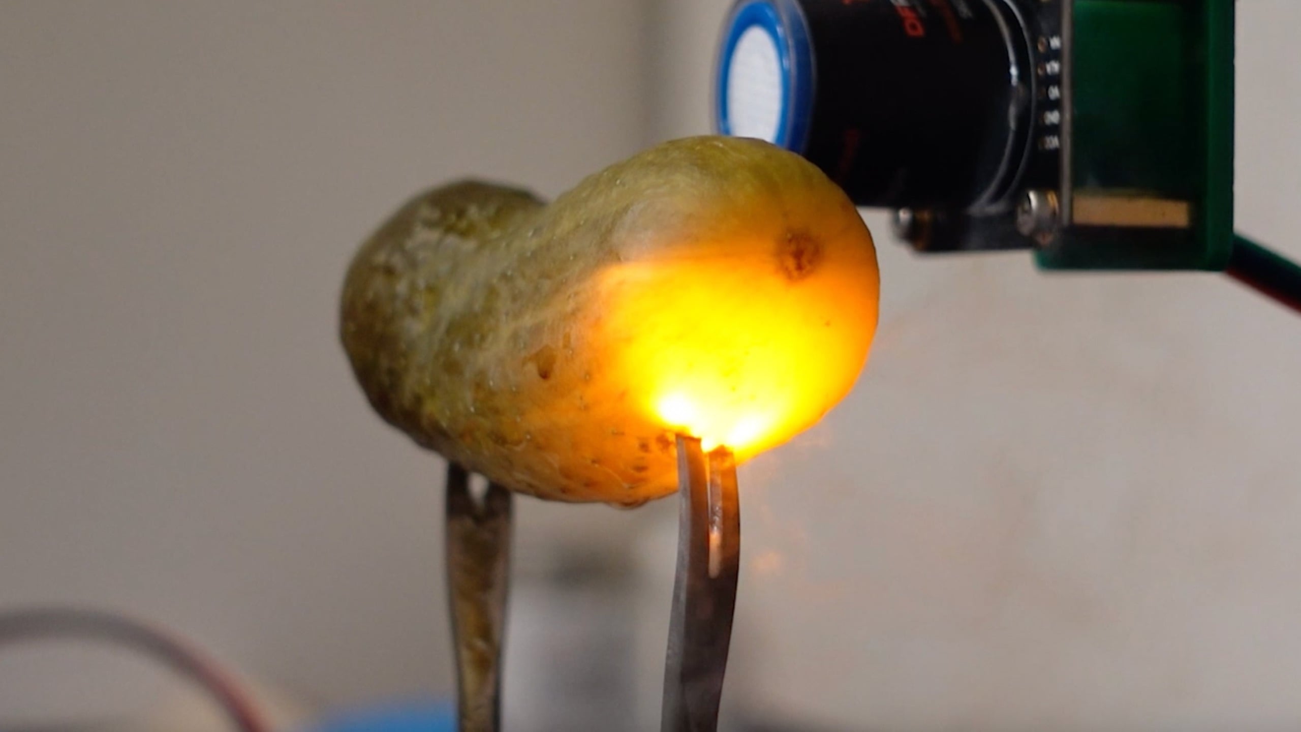 Physicists may have finally figured out why pickles glow