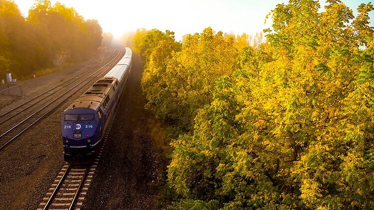The MTA is rolling out extra fall foliage express trains up to the ...