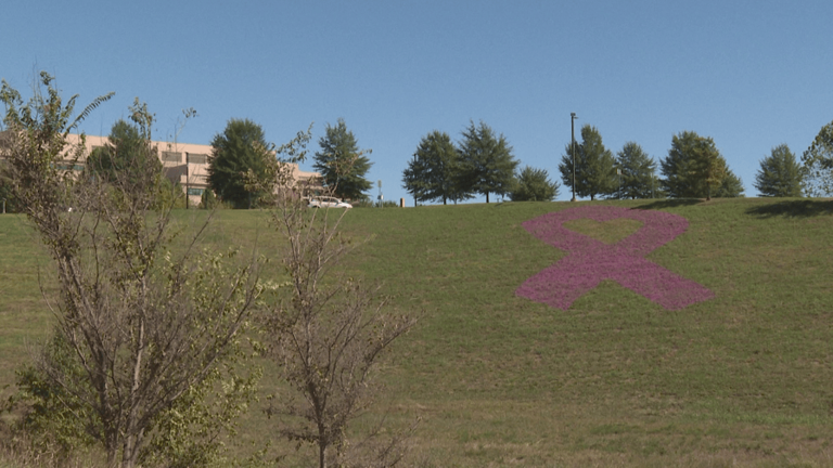 Joplin Mercy’s giant pink ribbon returns for Breast Cancer Awareness Month